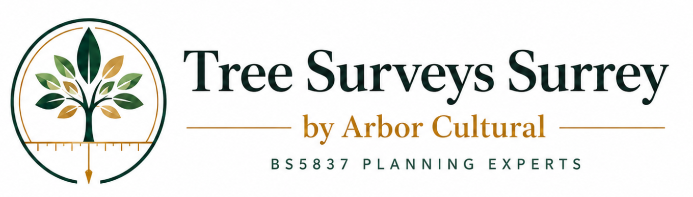 Tree Survey Surrey